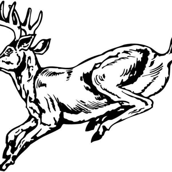 DEER027 Thumbnail