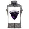 Men's Cosmic Fleece Vest Thumbnail