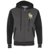 Unisex Heavyweight Varsity Full-Zip Hooded Sweatshirt Thumbnail